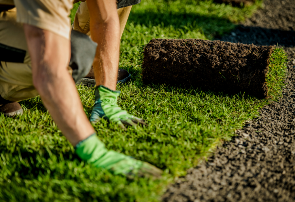 Why-You-Need-Turf-in-Your-Colorado-Springs-Yard
