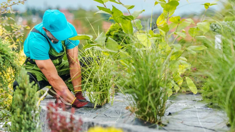 dt_09102024_weed_control_fabric_installed_professional_landscaper_800x450
