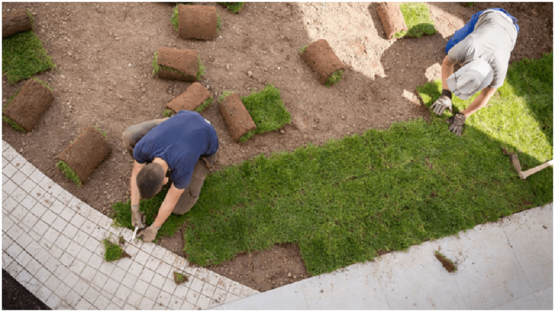 landscaping-ideas